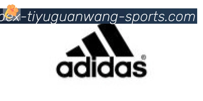 GOGO体育官网合作伙伴